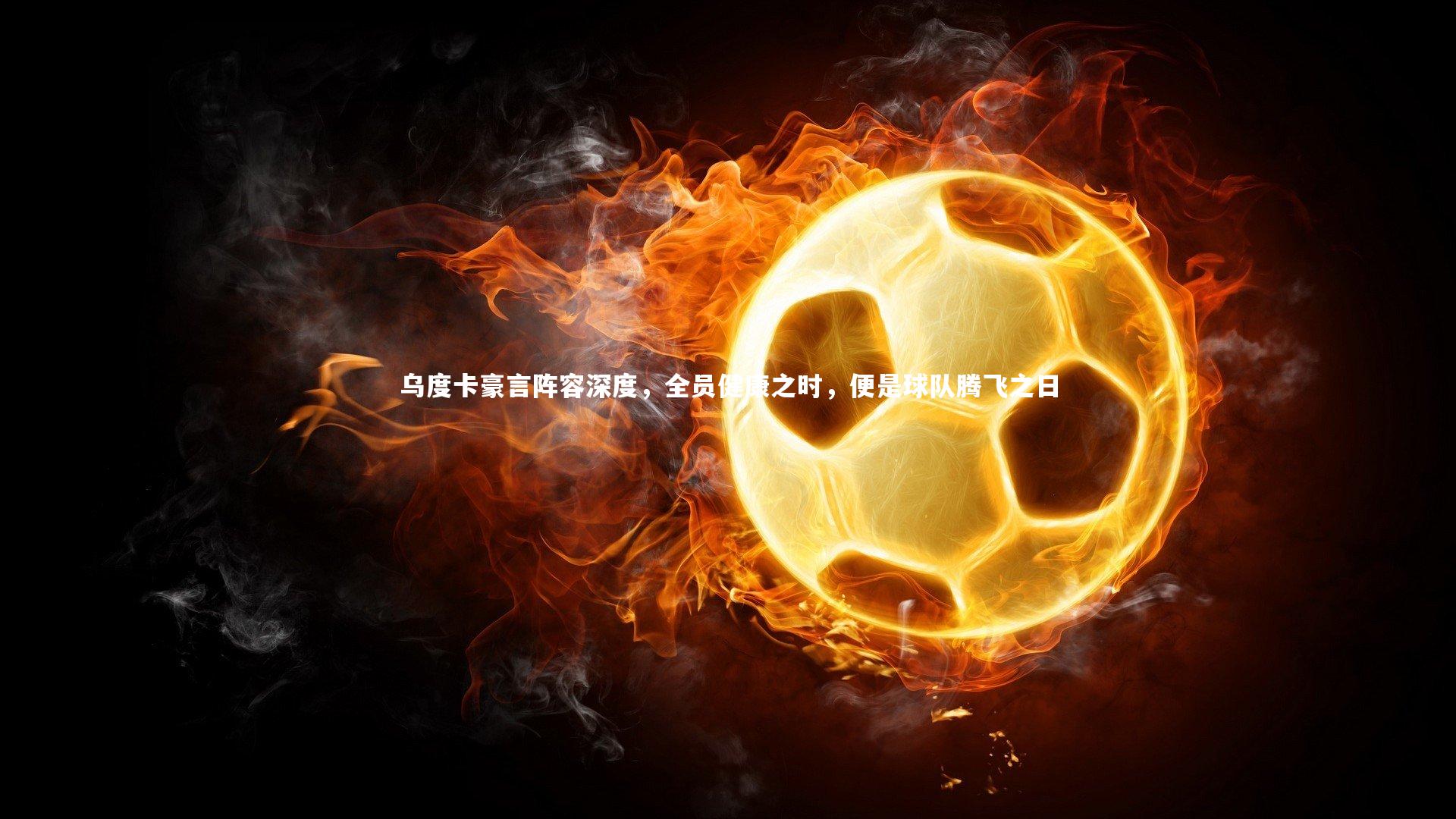 南宫28-乌度卡豪言阵容深度，全员健康之时，便是球队腾飞之日